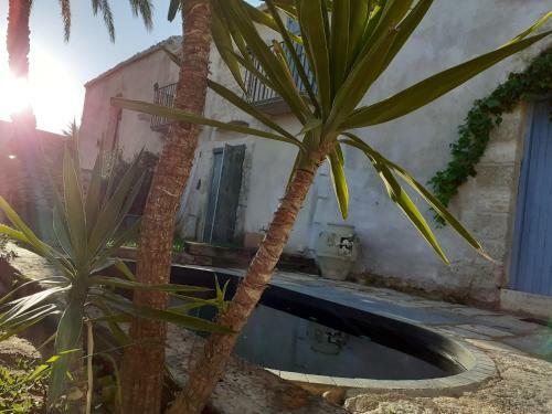 Chalet Del Ficus