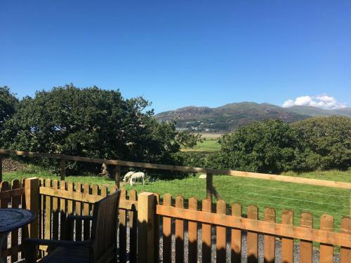 Cwt Melyn, Shepherds Hut With Views