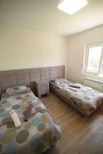 Apartment Fillip