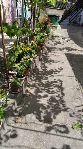 Apartman Susanj Bar