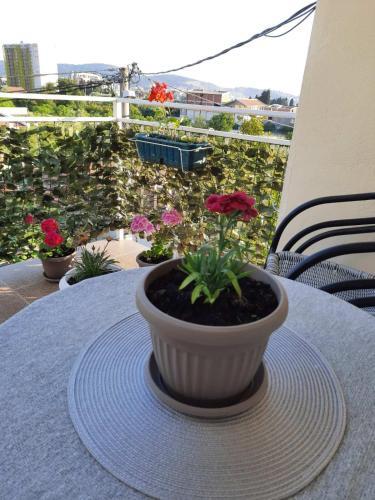 Apartman 70m2