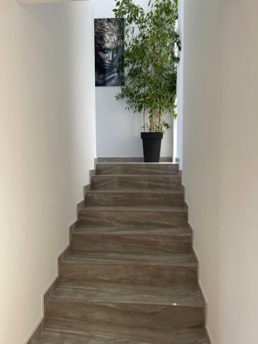 Villa Pine