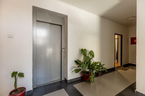 Apartman Perovi?