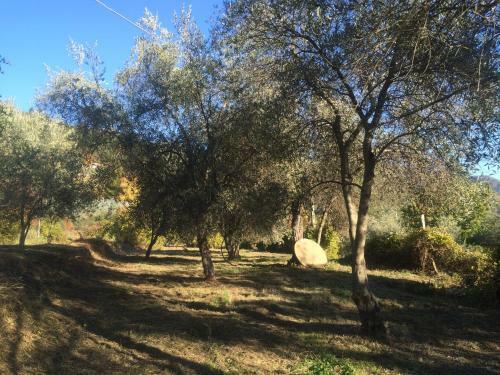 Hostal C� Di Brigaschi