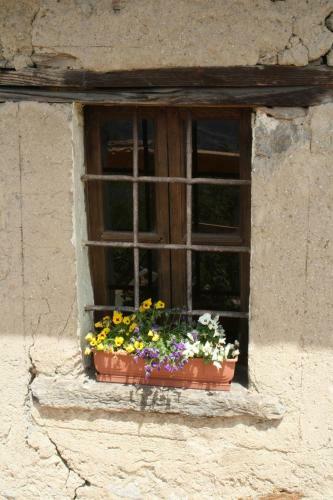 Apartamento Rifugio Dalco