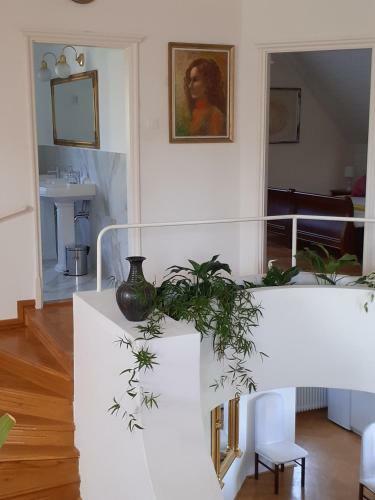 Csopak Mariann Apartman