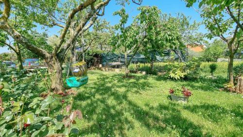 Apartment Pregara