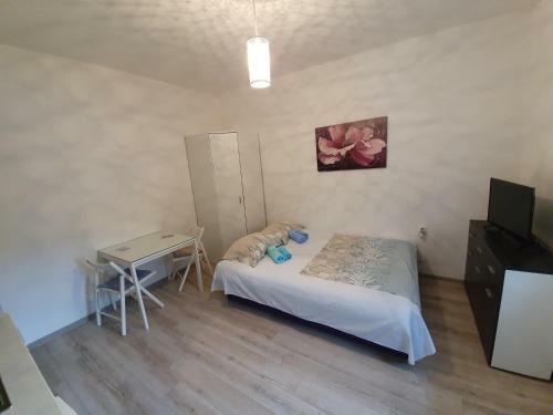 Hostal Studio Apartments Ilija