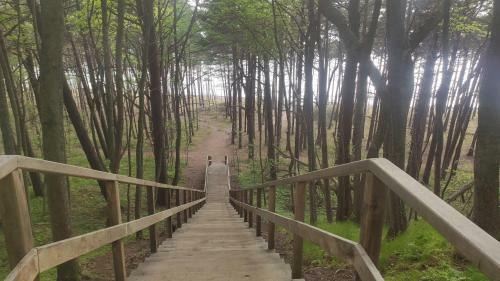 Apartamento Green Oasis Cottage-prime Rentals