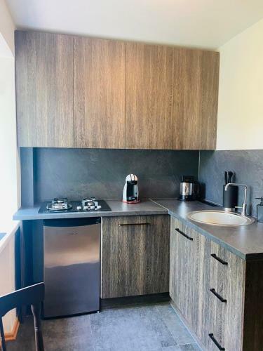 Apartamento Studija ?janonio 25?