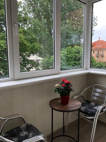 Apartamento Modern Studio In The Center Of Klaipeda