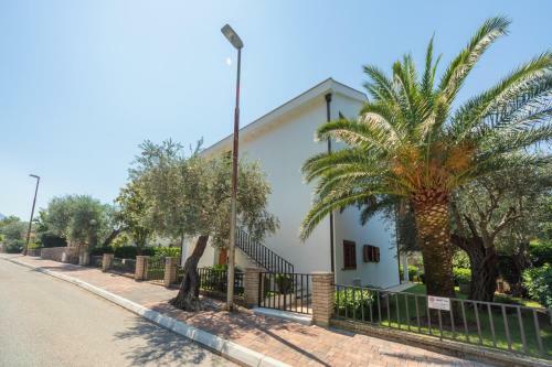 Apartamentos Markokop