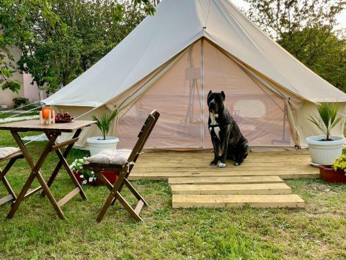 Glamping Zeta