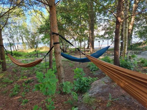 Glamping V?rnu Republika