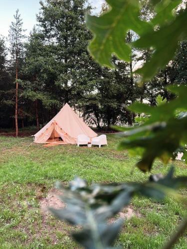 Glamping V?rnu Republika
