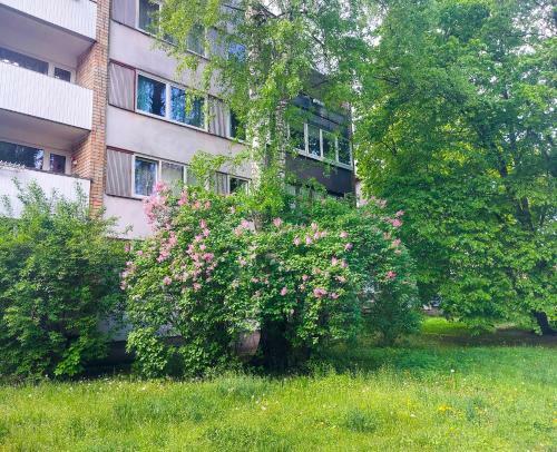 Jurmala Art Apartment