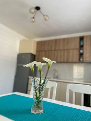 Apartman Holiday