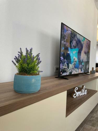 Apartman Holiday