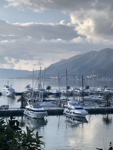 Dark Stallion Apartment In Porto Montenegro