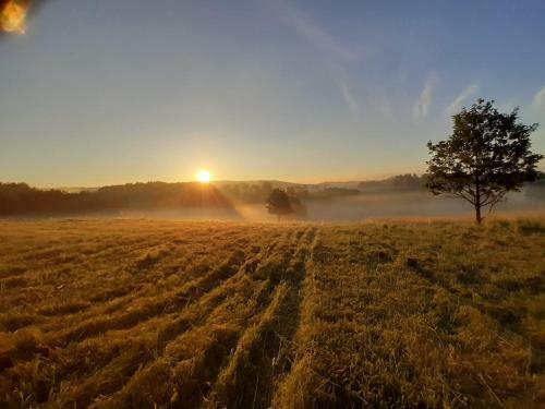 Lodge Domek Na Wzg�rzu