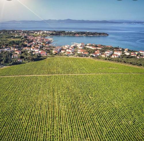 Apartman Punta Radman