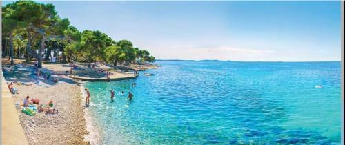 Apartman Punta Radman