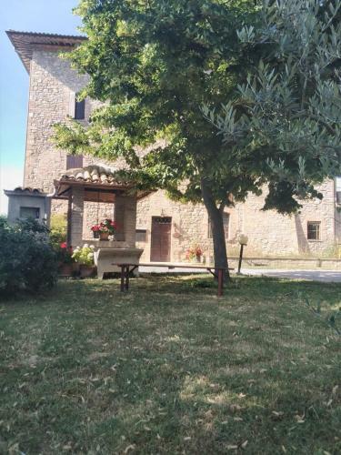 Agroturismo Agriturismo Il Grottino