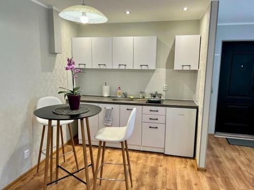 Auseklu Street Apartament