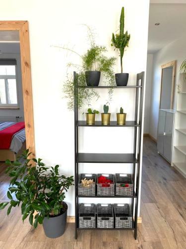 Pine Two Apartment