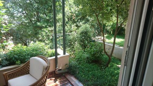 Apartment Branka Fortunella