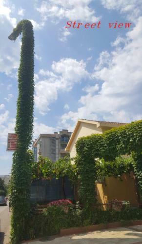 Apartamento Garden Suite