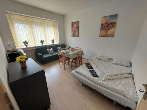 Apartm�n V Centre Bratislavy