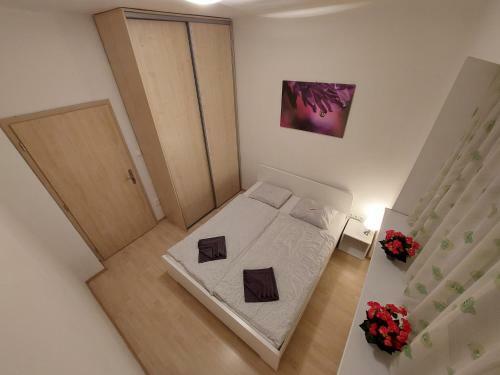 Apartm�n V Centre Bratislavy