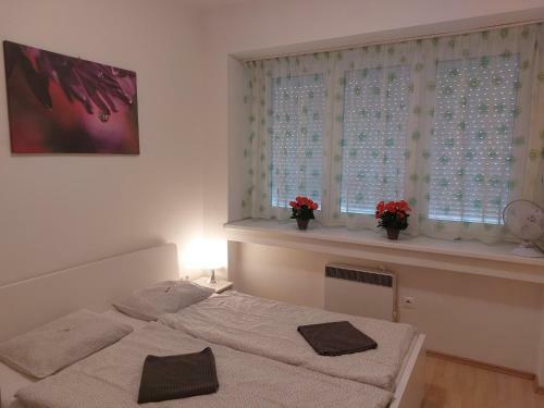 Apartm�n V Centre Bratislavy