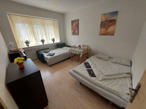 Apartm�n V Centre Bratislavy