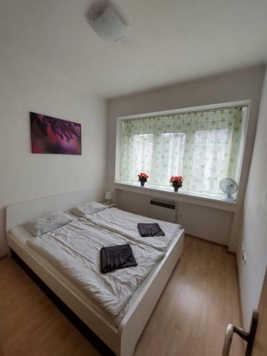 Apartm�n V Centre Bratislavy