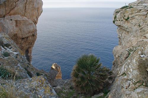 Hostal El Encinar De Arta