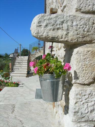 Agroturismo Agriturismo Il Portone