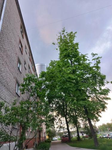 Zunda Apartment