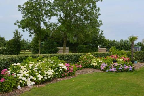 Camping De Tulpenweide