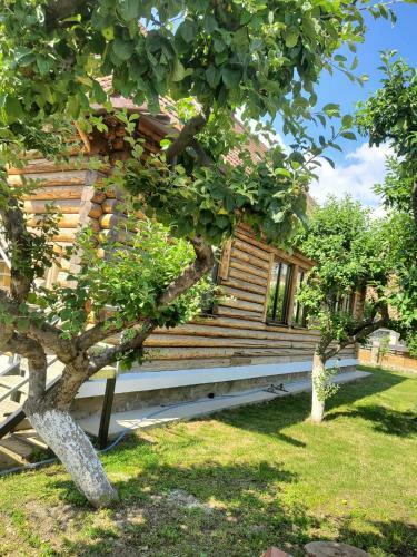 Hostal Camere �n Cas? de Lemn Proasp?t Renovat?