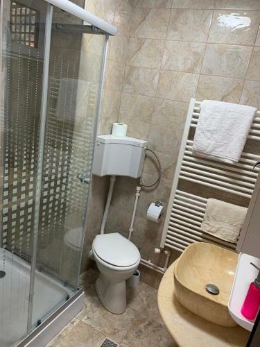 Hostal Camere �n Cas? de Lemn Proasp?t Renovat?