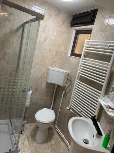 Hostal Camere �n Cas? de Lemn Proasp?t Renovat?