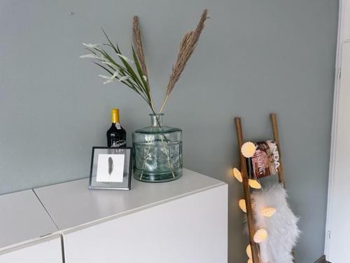Apartamento Callantsduinzicht, Beachappartement 24