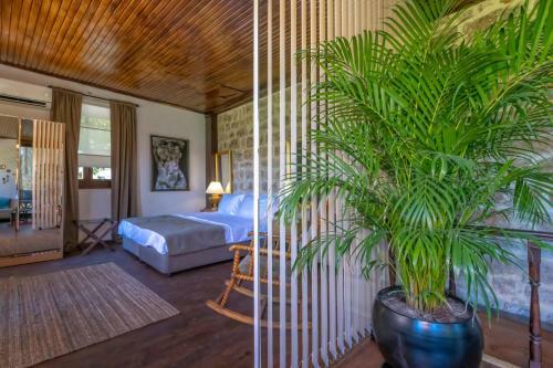 Villa Nill's Suite