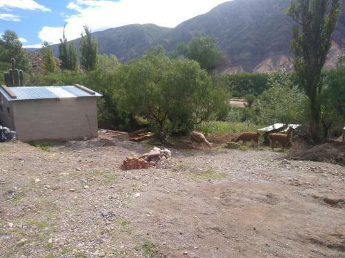 Eco Rancho Andino Cardonal
