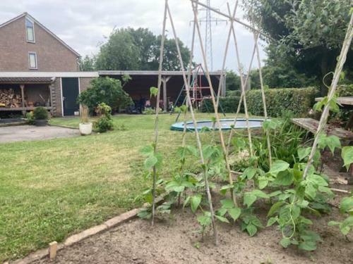 Apartamento Twee-onder-een-kap, Ruime Tuin, Stad