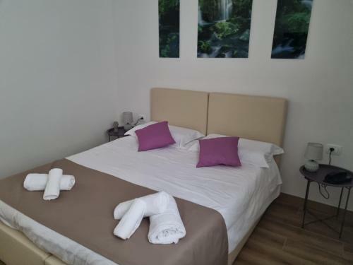 Hotel Shamar� Resort ****