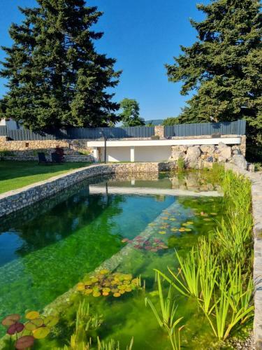 Hotel Shamar� Resort ****