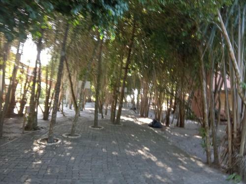 Apartamento Praia Do Forte